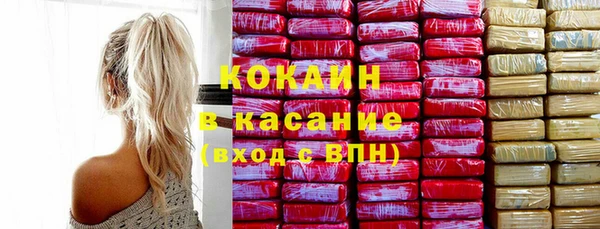 гашик Арсеньев